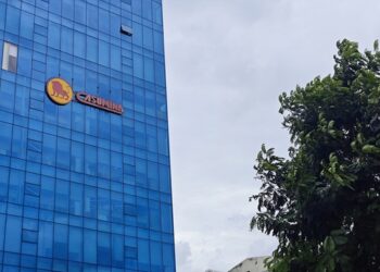 Tập đoàn Công nghiệp cao su Việt Nam không liên quan đến Casumina- Ảnh 1.