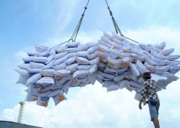 Cục Xuất Nhập khẩu yêu cầu VFA báo cáo vụ gạo “bỏ thầu giá thấp”- Ảnh 1.