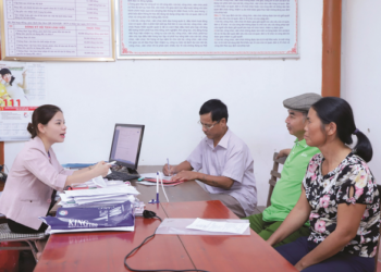 Căn cứ xác định vị trí việc làm công chức, viên chức mới nhất- Ảnh 1.