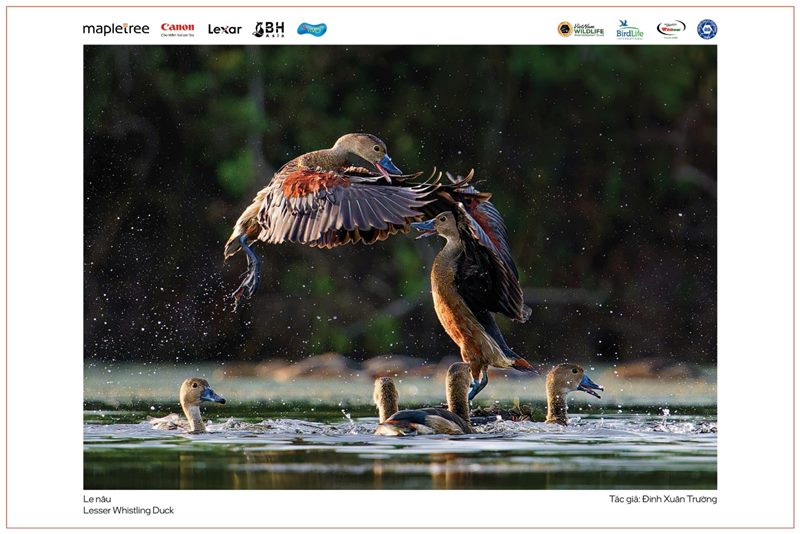 Khai mạc triển lãm với chủ đề “Vũ điệu từ thiên nhiên”
